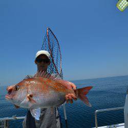 アジアマリンサービス 釣果