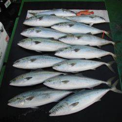 海宝丸　島根 釣果