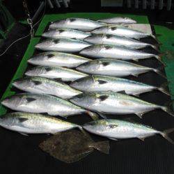 海宝丸　島根 釣果