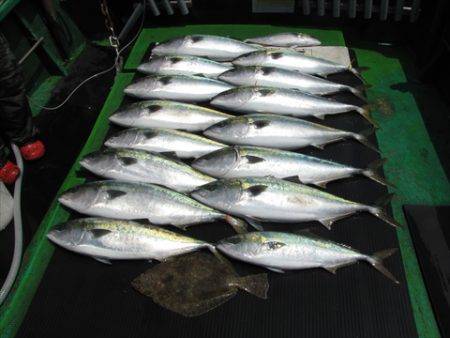 海宝丸　島根 釣果