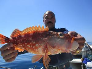 兼六丸 釣果