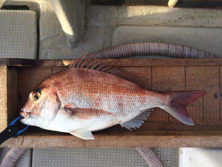 白墨丸 釣果