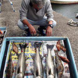 久六釣船 釣果