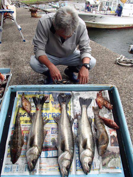 久六釣船 釣果