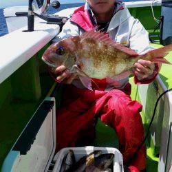 ゆたか丸 釣果