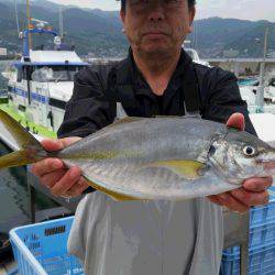 ゆたか丸 釣果