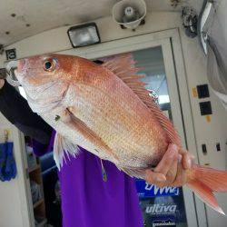 遊漁船　ニライカナイ 釣果