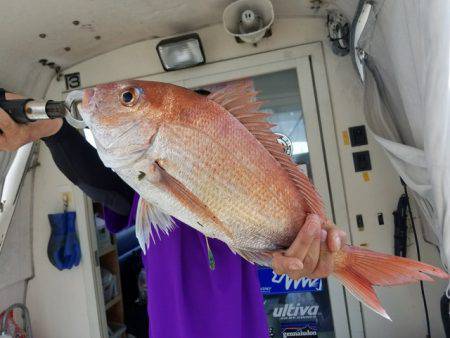 遊漁船　ニライカナイ 釣果