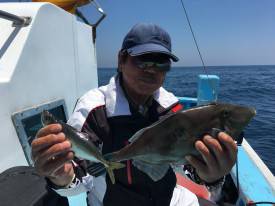 おざき丸 釣果