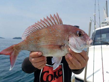 遊漁船　ニライカナイ 釣果