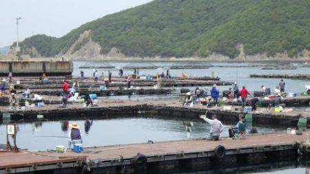 淡路じゃのひれフィッシングパーク 釣果