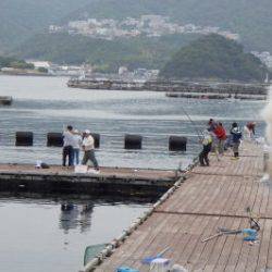 淡路じゃのひれフィッシングパーク 釣果