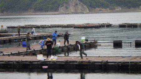 淡路じゃのひれフィッシングパーク 釣果