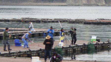 淡路じゃのひれフィッシングパーク 釣果