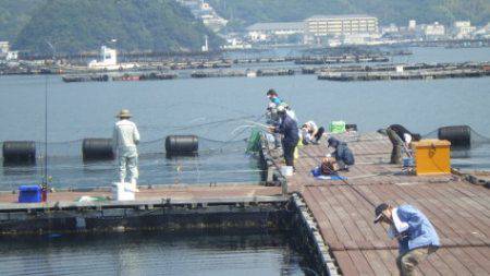 淡路じゃのひれフィッシングパーク 釣果