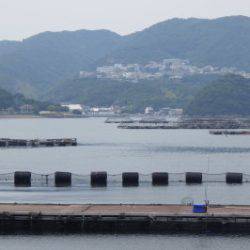 淡路じゃのひれフィッシングパーク 釣果