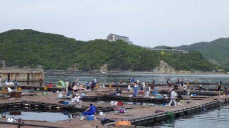 淡路じゃのひれフィッシングパーク 釣果