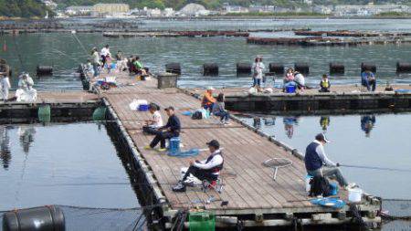 淡路じゃのひれフィッシングパーク 釣果