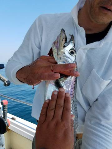 遊漁船　ニライカナイ 釣果