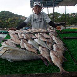 カタタのつり堀 釣果