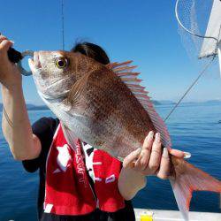 遊漁船　ニライカナイ 釣果