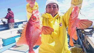 しまや丸 釣果