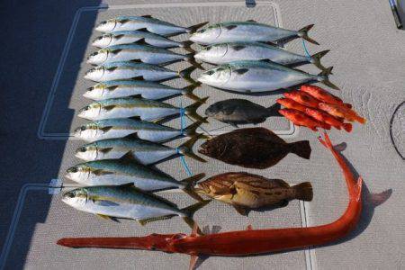 へいみつ丸 釣果