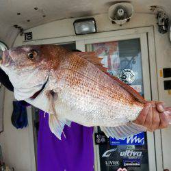 遊漁船　ニライカナイ 釣果