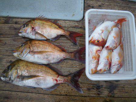 小海途 釣果