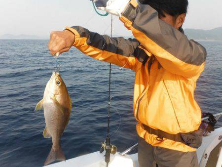 開進丸 釣果