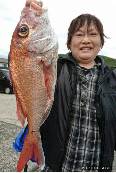 桑田観光 釣果