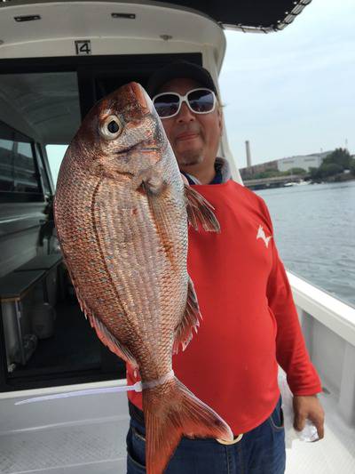 ミタチ丸 釣果