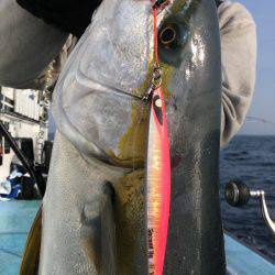 松鶴丸 釣果