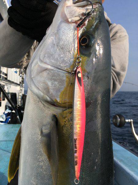 松鶴丸 釣果