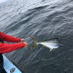 松鶴丸 釣果