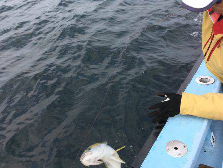 松鶴丸 釣果