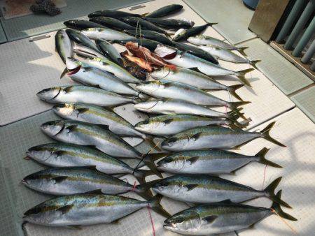 ふじしめ丸 釣果