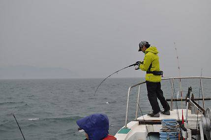 八海丸 釣果