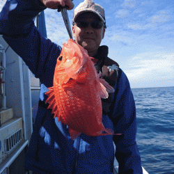 清和丸 釣果