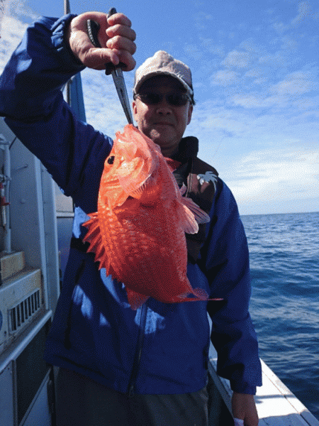 清和丸 釣果