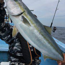 松鶴丸 釣果