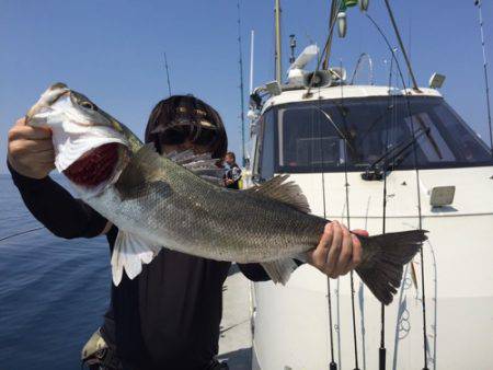 シーモンキー 釣果