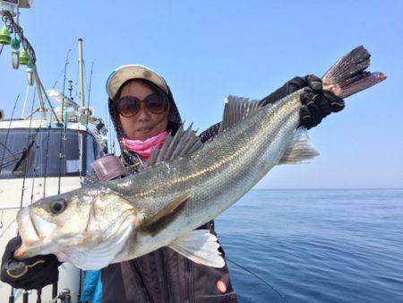 シーモンキー 釣果