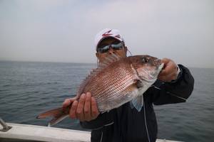 魚英 釣果