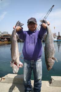 魚英 釣果