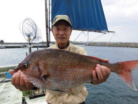 大進丸（新潟） 釣果