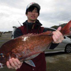 大進丸（新潟） 釣果