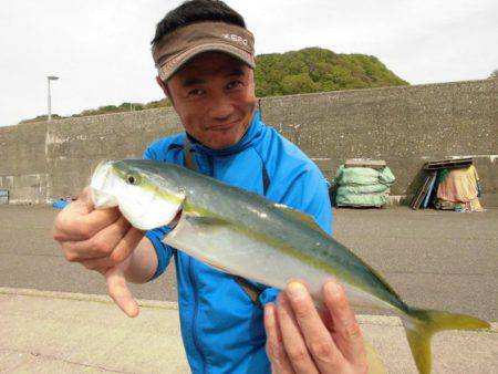 大進丸（新潟） 釣果