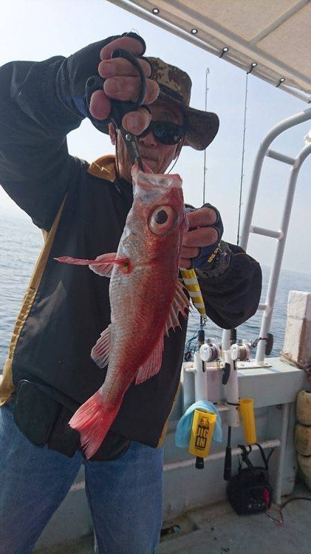 桃太郎 釣果