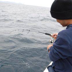 ＢｌｕｅＮｏｔｅ　Ｆｉｓｈｉｎｇ　Ｔａｘｉ 釣果